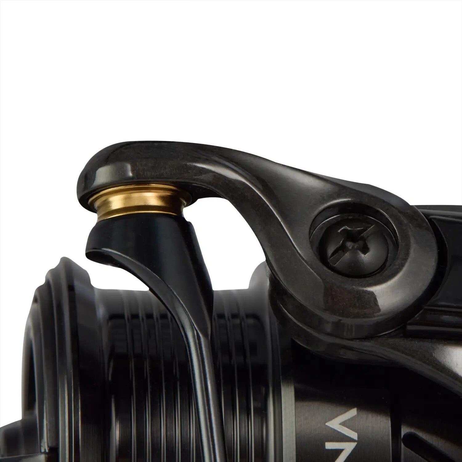 Spole Favorite Arena