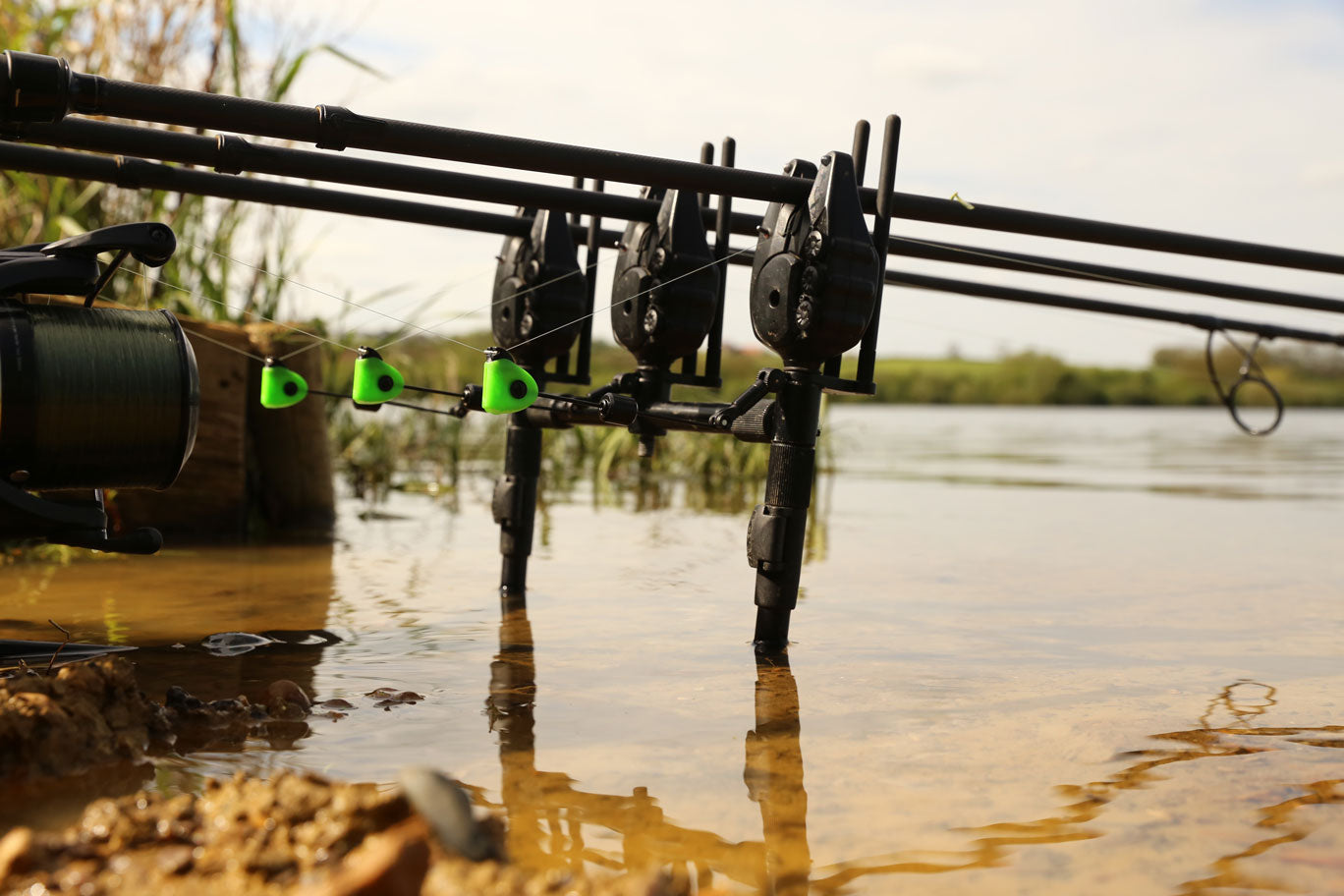 Svingeris Fox Black Label Mini