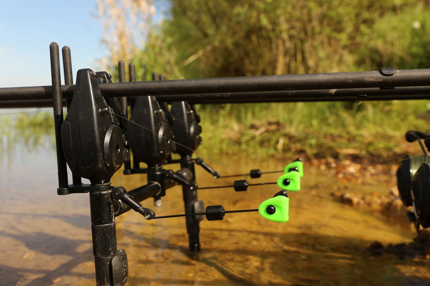 Svingeris Fox Black Label Mini