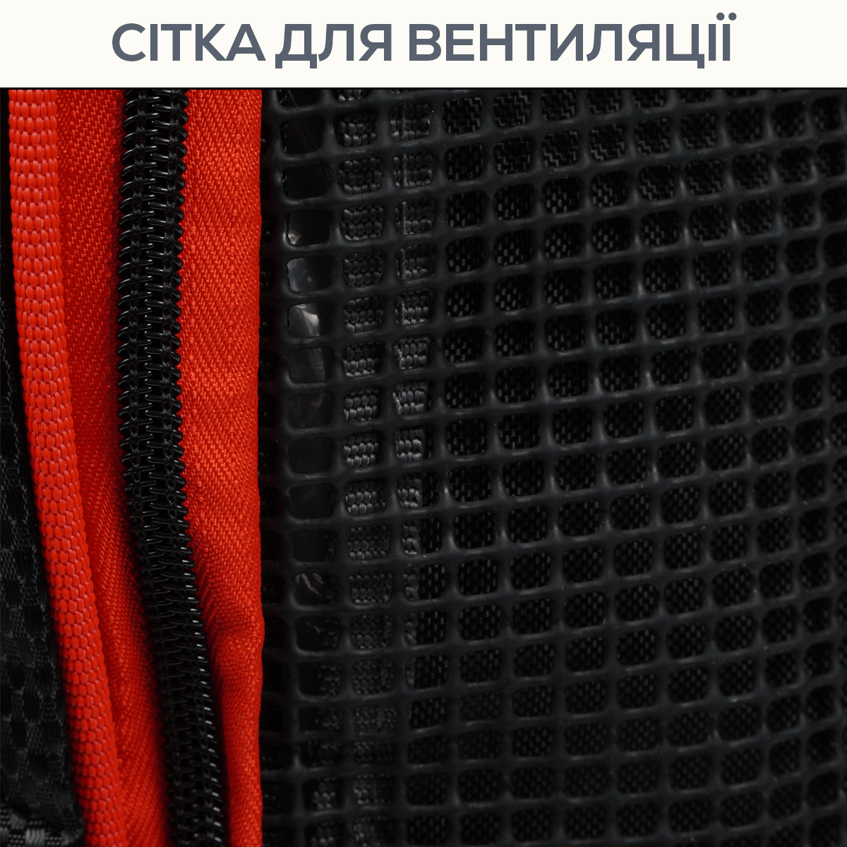 Soma zābakiem Golden Catch melna