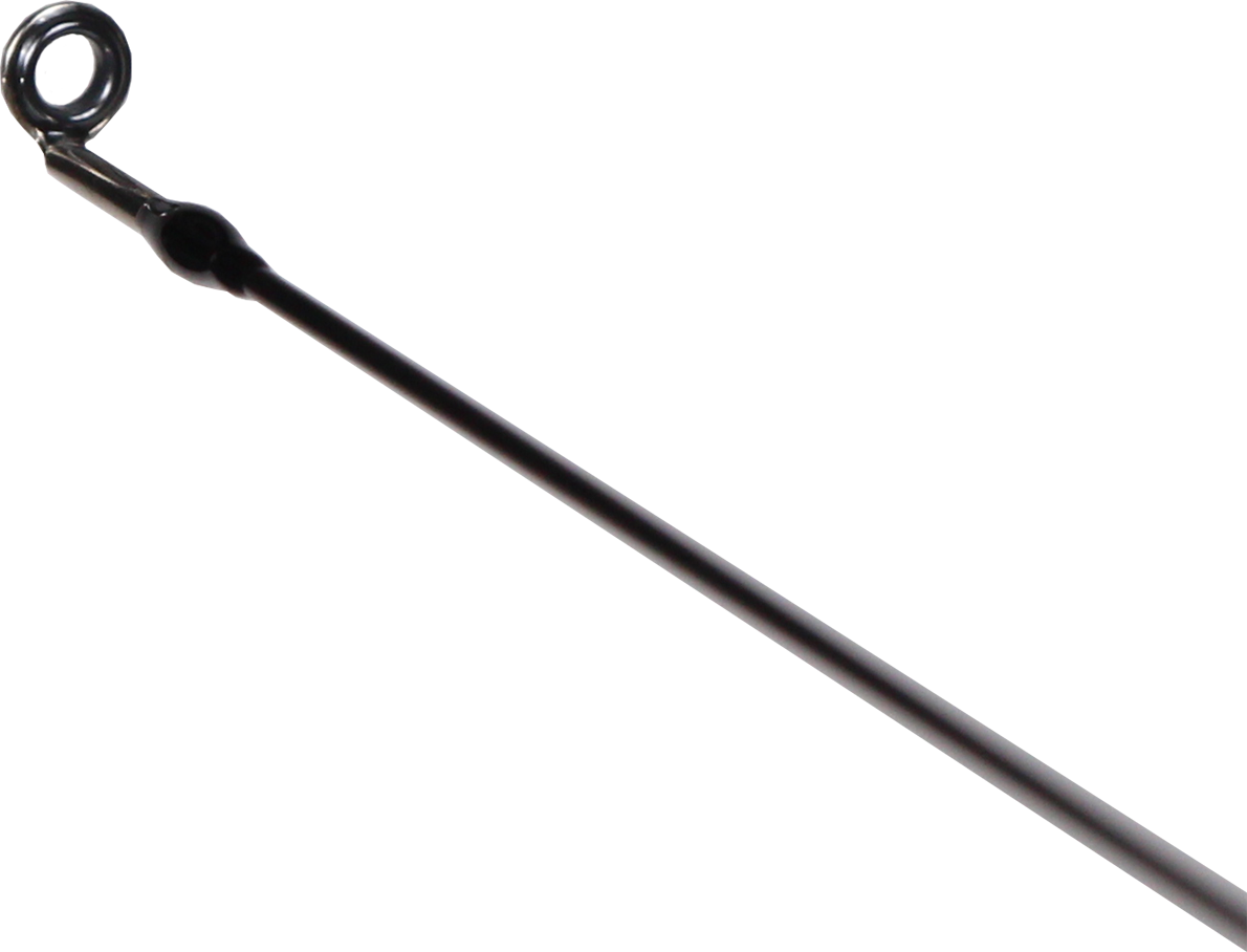 Spinings Golden Catch Endorfin