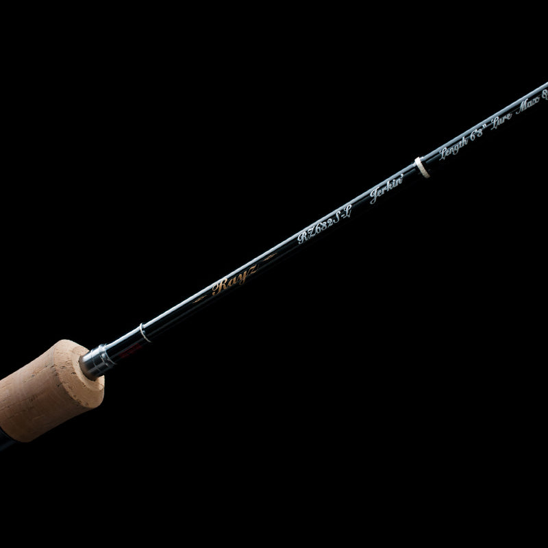 Spinings Tenryu Rayz