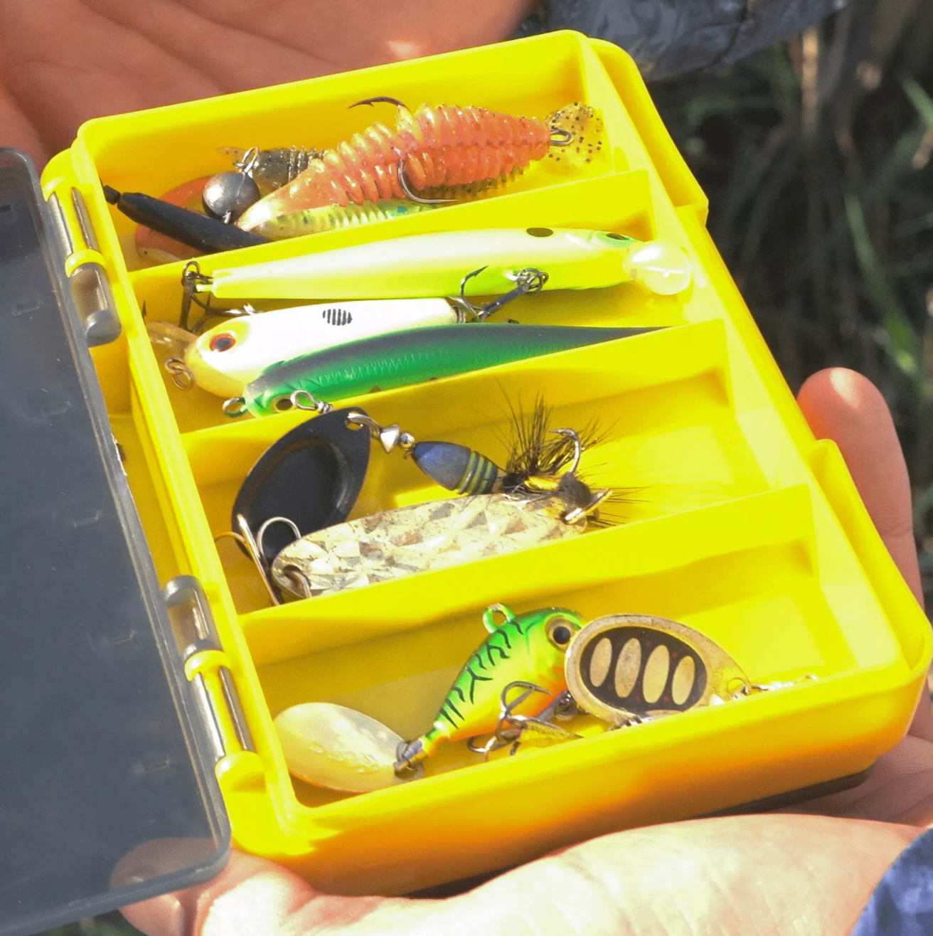 Kaste Golden Catch Reversible Worm Case RWC-1410F