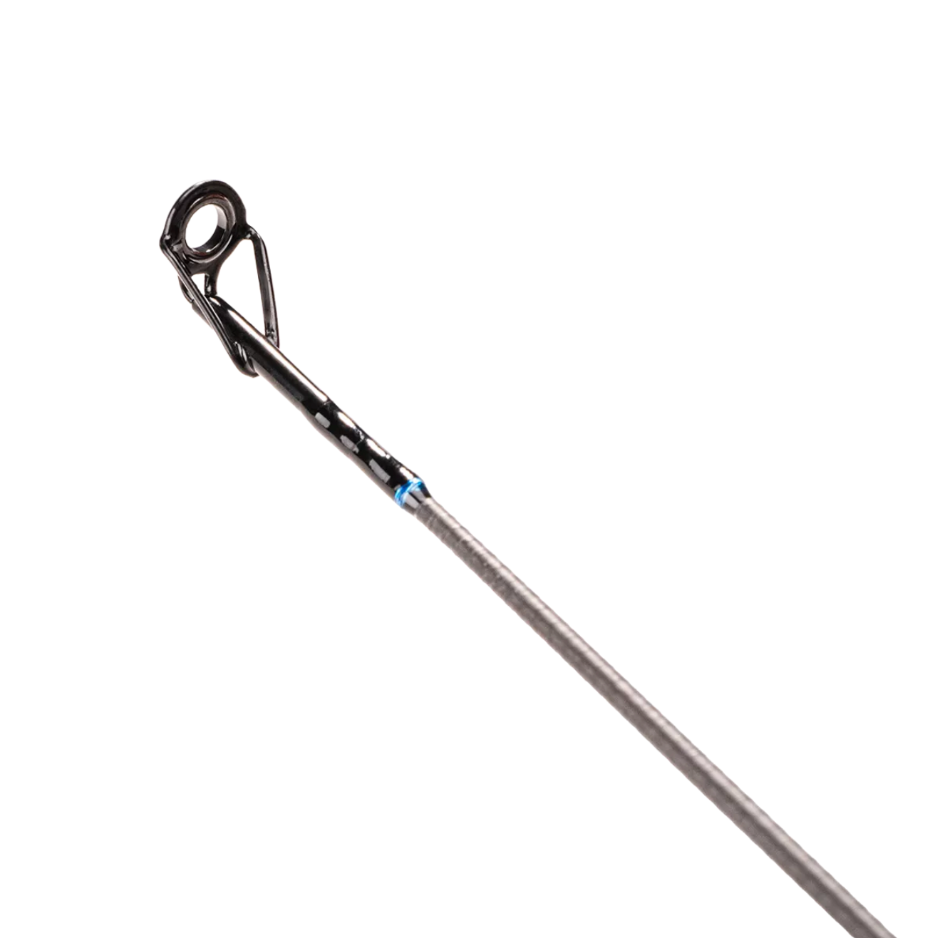 Spinings Golden Catch Sprinter 24