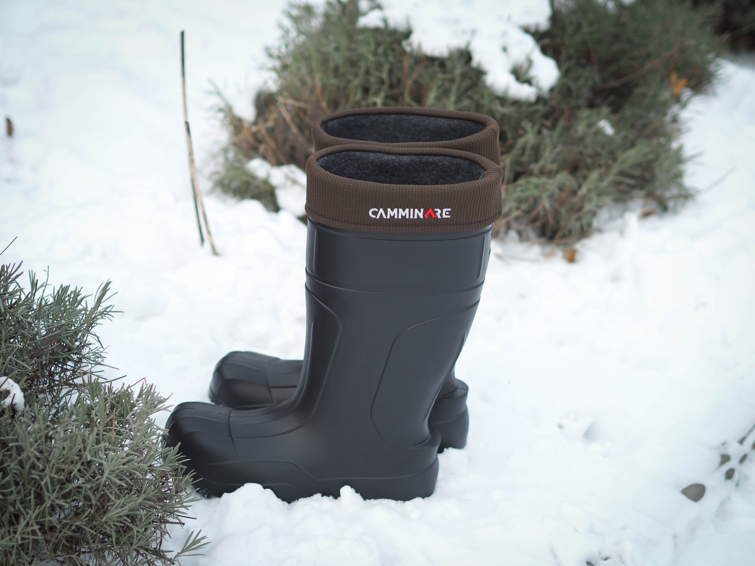 Zābaki Camminare Syberian Long