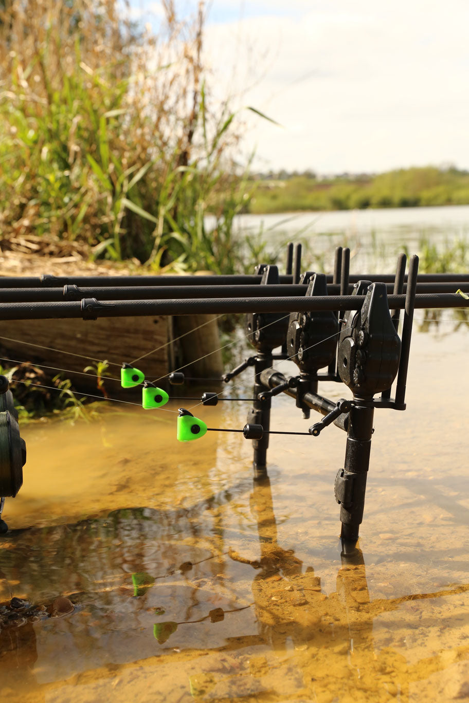 Svingeris Fox Black Label Mini