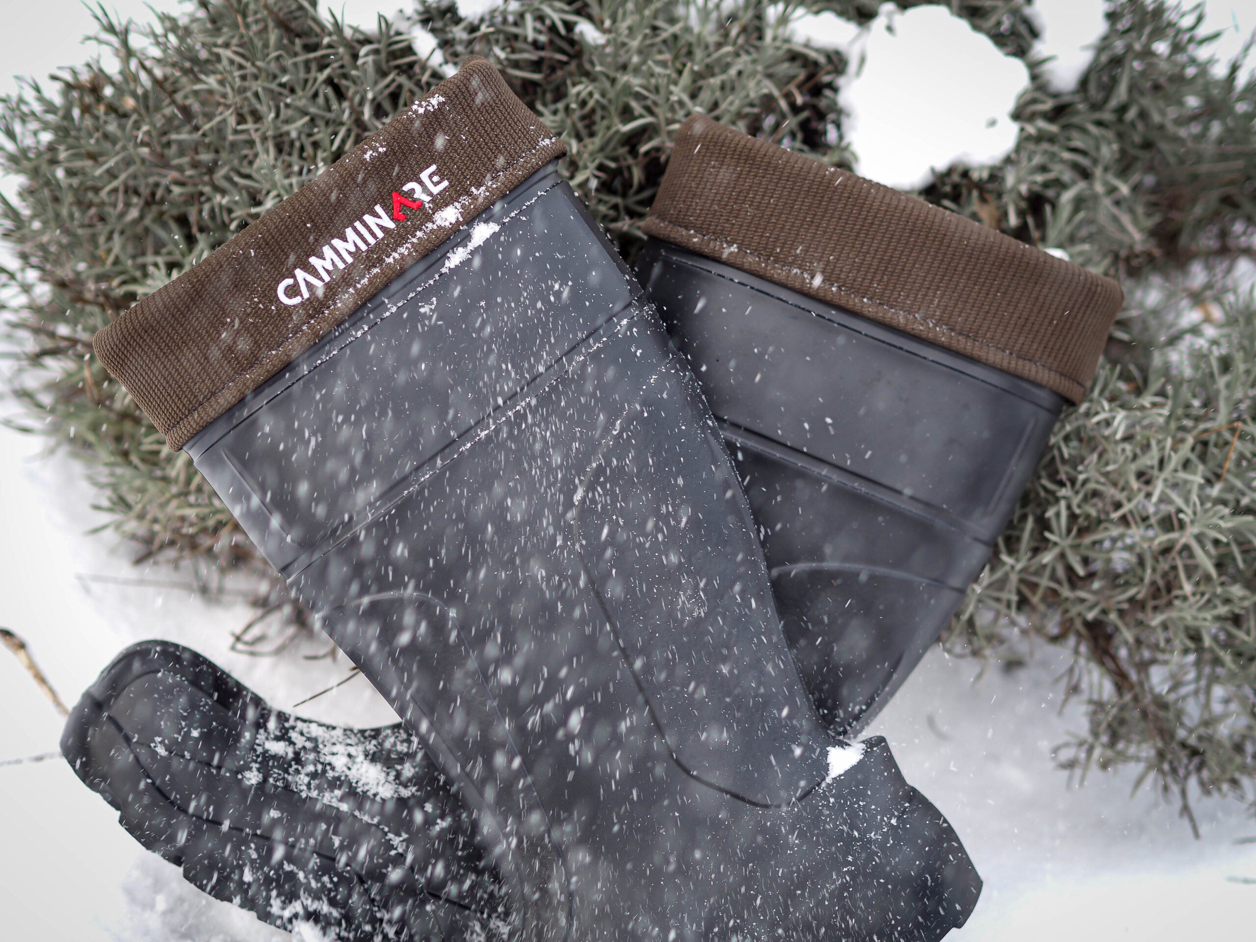 Zābaki Camminare Syberian Long