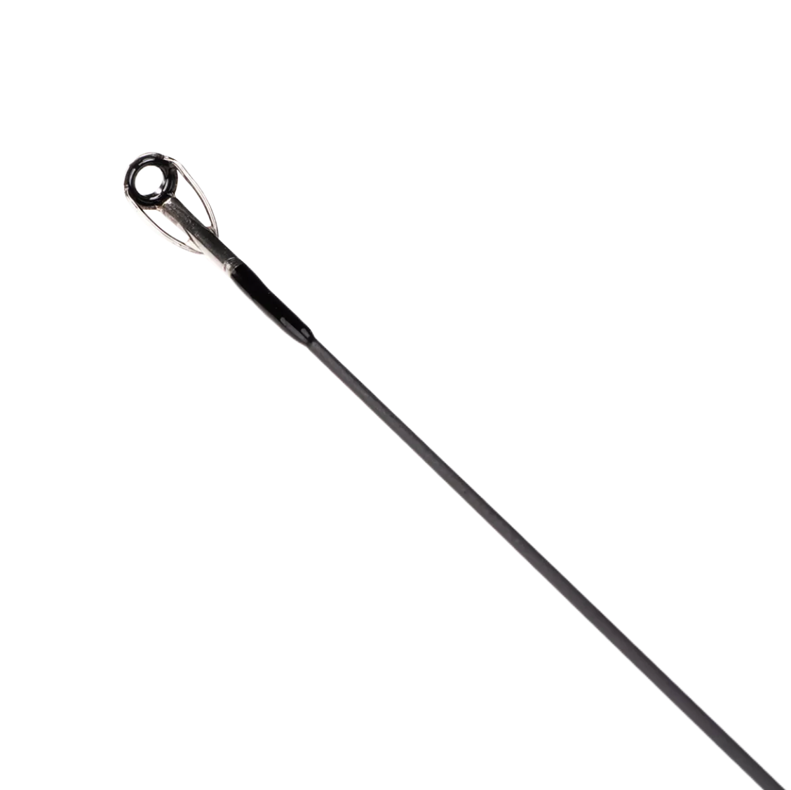 Golden Catch Traise 24 Spinning